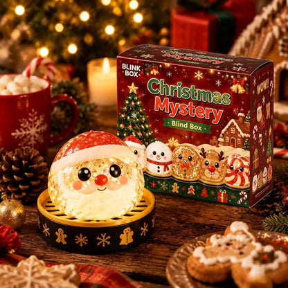 2026 Christmas Dumpling Squishy Mystery Box