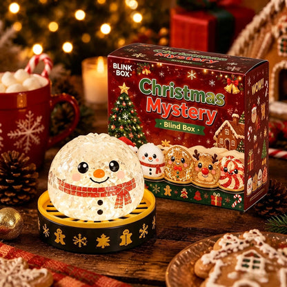 2026 Christmas Dumpling Squishy Mystery Box