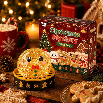 2026 Christmas Dumpling Squishy Mystery Box