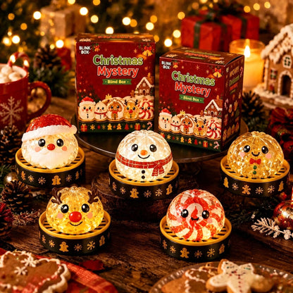 2026 Christmas Dumpling Squishy Mystery Box